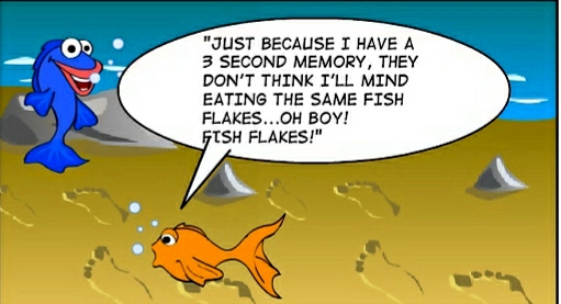 happy goldfish cartoon. funny goldfish cartoon.